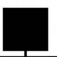 LEI-AMBERBOOM (laagstam leibomen scherm)  omtrek 12-14cm